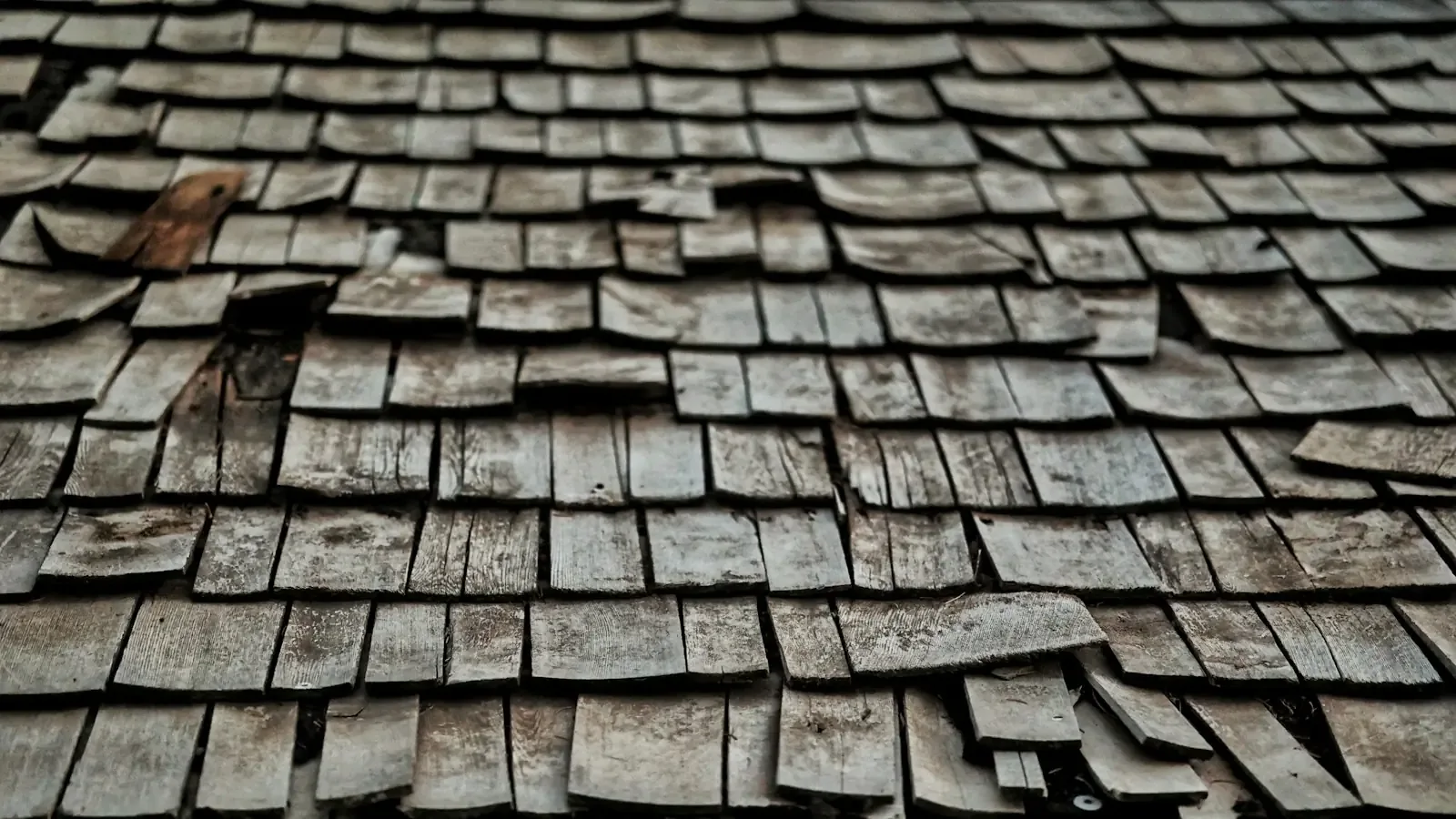 Paterson - Roof Replacement in Paterson